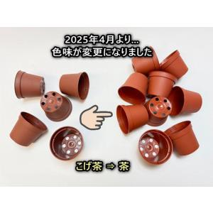 [販売終了]2号プラ鉢どっしり型-ミニサイズ[...の詳細画像2