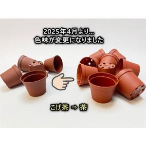 [販売終了]2号プラ鉢どっしり型-ミニサイズ[...の詳細画像3
