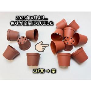 [販売終了]2号プラ鉢どっしり型-ミニサイズ[...の詳細画像4