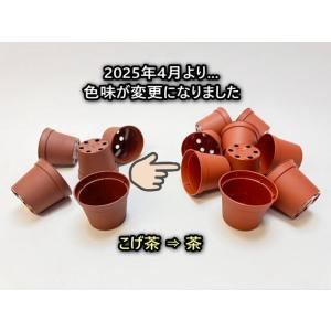 [販売終了]2号プラ鉢どっしり型-ミニサイズ[...の詳細画像5