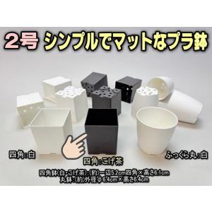 シンプルでマットなプラ鉢2号こげ茶-四角 1個売...の商品画像