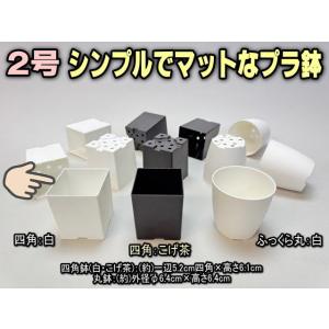 シンプルでマットなプラ鉢2号白-四角 1個売り[...の商品画像
