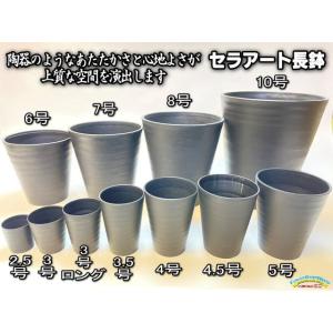 セラアート長鉢-2.5号/2.5寸(当店2号)...の詳細画像5
