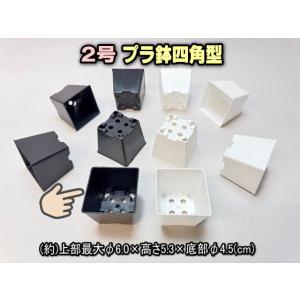 2号プラ鉢四角型-黒色-ミニサイズ※【黒-超ミニ】[2GB]