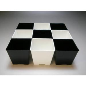 2号プラ鉢四角型-黒色-ミニサイズ※【黒-超ミ...の詳細画像1