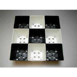 2号プラ鉢四角型-黒色-ミニサイズ※【黒-超ミ...の詳細画像2