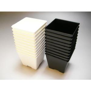 2号プラ鉢四角型-黒色-ミニサイズ※【黒-超ミ...の詳細画像5