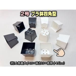 2号プラ鉢四角型-白色-ミニサイズ[2GW]