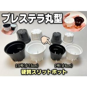 ボール型プラ鉢-2号-白小(1鉢)[2GW][254GW] : フラワーショップ江口