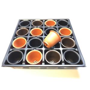 2号プラ鉢ぴったり整理トレイ-薄(ソフト):4...の詳細画像2