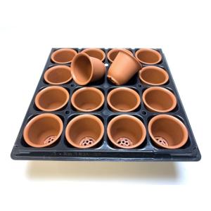 1号プラ鉢ぴったり整理トレイ-厚(ハード)：6×6=36鉢用[セルトレイ