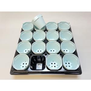 1号プラ鉢ぴったり整理トレイ：浅型(3.3cm)-薄(ソフト)：7×7=49鉢用
