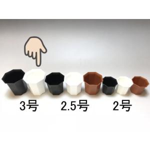 八角縁広プラ鉢(シャトル鉢)-3号大-白(八角鉢)[2GW][254GW]