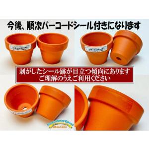 テラコッタ鉢-1.8号/超ミニ(大)(外径φ5...の詳細画像1