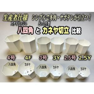 八四角プラ鉢-2.5号-小(八角型底四角鉢)※...の詳細画像1