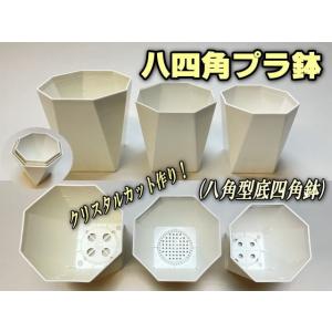 八四角プラ鉢-3号-中(八角型底四角鉢)※黒イ...の詳細画像2