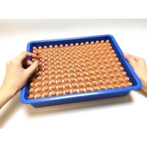 超ミニミニ豆テラコッタ鉢-0.7号鉢(外径φ2...の詳細画像2