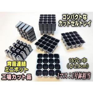 育苗ミニポット:カットセルトレイ-4×4=16穴[植穴:中2.9cm四角]工場分割カット品[セルトレー/プラグトレー]*空トレイ1枚売