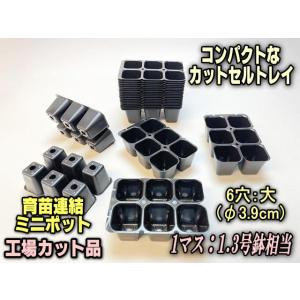 育苗ミニポット:カットセルトレイ-3×2=6穴[植穴:大3.9cm四角]工場分割カット品[セルトレー/プラグトレー]*空トレイ1枚売