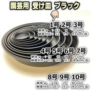 受皿-1号(ミニ)-黒[ブラック](φ約6.5cm×高さ1.4cm)鉢皿※鉢底直径φ5.2cm迄の鉢がギリギリ入るサイズ＊1枚売※黒で擦れ傷目立ちがちお許し下さい