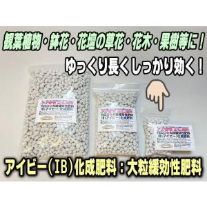 IB(アイビー)化成肥料(大粒緩効性肥料)100g(ミニ)[無地袋]