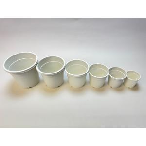 生産者仕様[カントー]プラ鉢A-40-白※黒イ...の詳細画像2