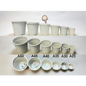生産者仕様[カントー]プラ鉢A-40-白※黒イ...の詳細画像5
