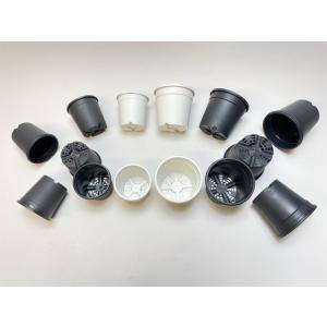 生産者仕様[カントー]●プラ鉢A-25-(2号...の詳細画像2