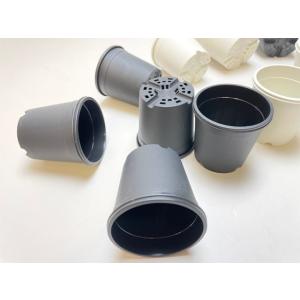 生産者仕様[カントー]●プラ鉢A-25-(2号...の詳細画像4