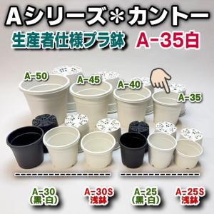 鉢2点 セラアート長鉢-2.5号/2.5寸(当店2号)-マットな黒○ブラック(陶器風