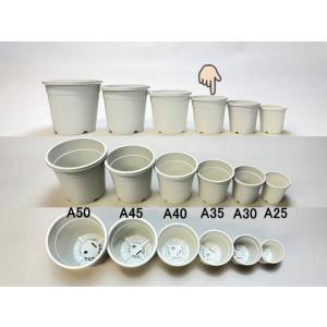 生産者仕様[カントー]プラ鉢A-35-(3号相...の詳細画像5