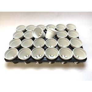 生産者仕様[カントー]プラ鉢A-30-(2.5...の詳細画像3