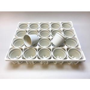 生産者仕様[カントー]プラ鉢A-30-(2.5...の詳細画像4