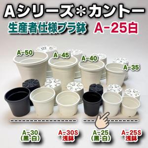 生産者仕様[カントー]プラ鉢A-25-(2号相当)-白