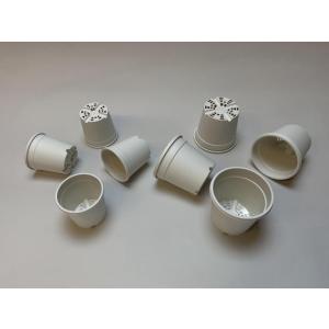 生産者仕様[カントー]プラ鉢A-25-(2号相...の詳細画像1