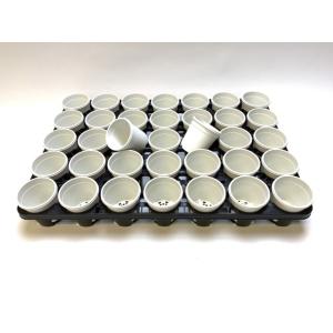 生産者仕様[カントー]プラ鉢A-25-(2号相...の詳細画像3