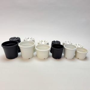 生産者仕様[カントー]浅*プラ鉢A-25S-(...の詳細画像2