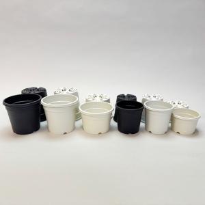 生産者仕様[カントー]浅*プラ鉢A-30S-(...の詳細画像2