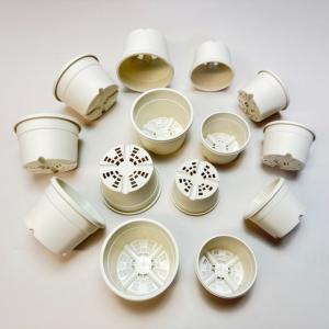 生産者仕様[カントー]浅*プラ鉢A-30S-(...の詳細画像5