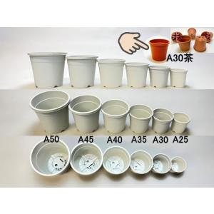 生産者仕様[カントー]プラ鉢A-30-茶の詳細画像1