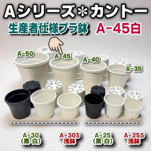 生産者仕様[カントー]プラ鉢A-25-(2号相当)-白[2GW]※黒インク状の付着