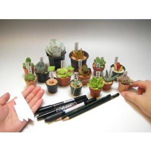 薄手なのに丈夫でマットな高品質ラベル-9.5cm(ばら売り)