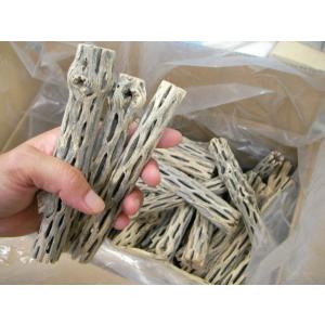 サボテンの骨 3個セット カクタススケルトン カクタスボーン サイズ約