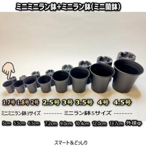 スマートハイスタイル1.7号【ミニミニラン鉢】...の詳細画像1