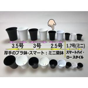 ミニラン鉢・ミニ蘭鉢2.5号[黒]*厚手のプラ...の詳細画像2