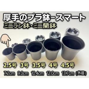 ミニラン鉢・ミニ蘭鉢2.5号[黒]*厚手のプラ...の詳細画像1