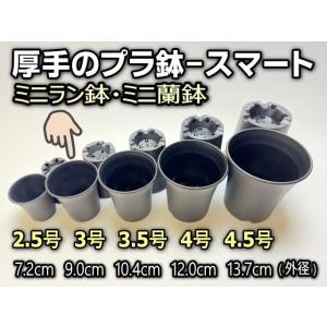 ミニラン鉢・ミニ蘭鉢3号[黒]*厚手のプラ鉢-...の詳細画像1