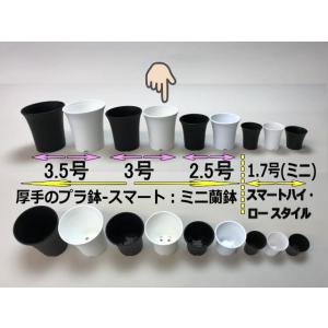 ミニラン鉢・ミニ蘭鉢3号[白]＊厚手のプラ鉢-スマート鉢＊多肉植物・塊根植物コーデックス・アガベ・サボテン・観葉・アデニウム・パキポディウム[2GW][254GW]
