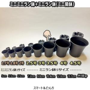 厚手のプラ鉢-スマート3.5号[黒]/ミニ蘭鉢[254GB]