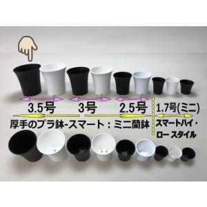 ミニラン鉢・ミニ蘭鉢3.5号[黒]*厚手のプラ...の詳細画像2